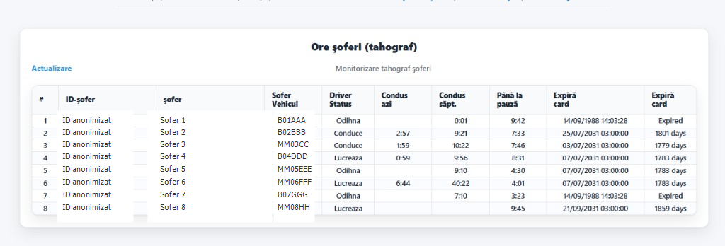 Exemplu raport Ore soferi tahograf